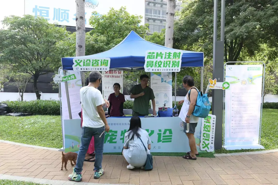 025美丽深圳城管行