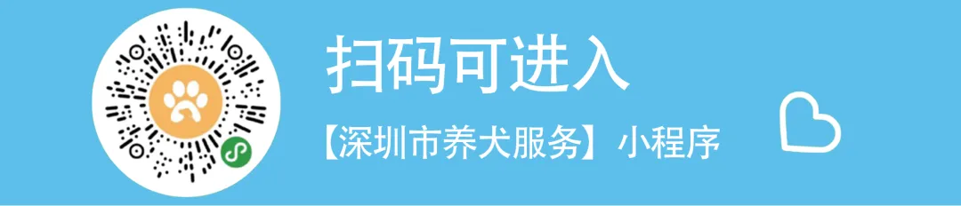 025美丽深圳城管行