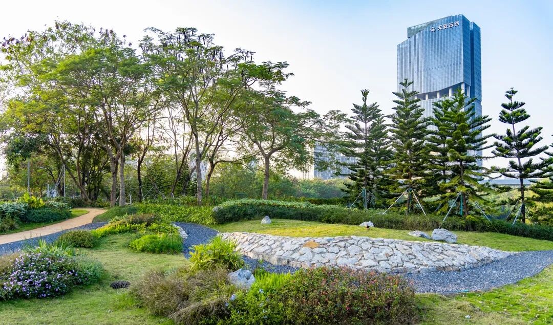 夏日出发~ 到光明湖碧道追风去！