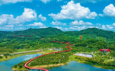 【免费报名】相约光明虹桥！奥林匹克日活动深圳站来啦！