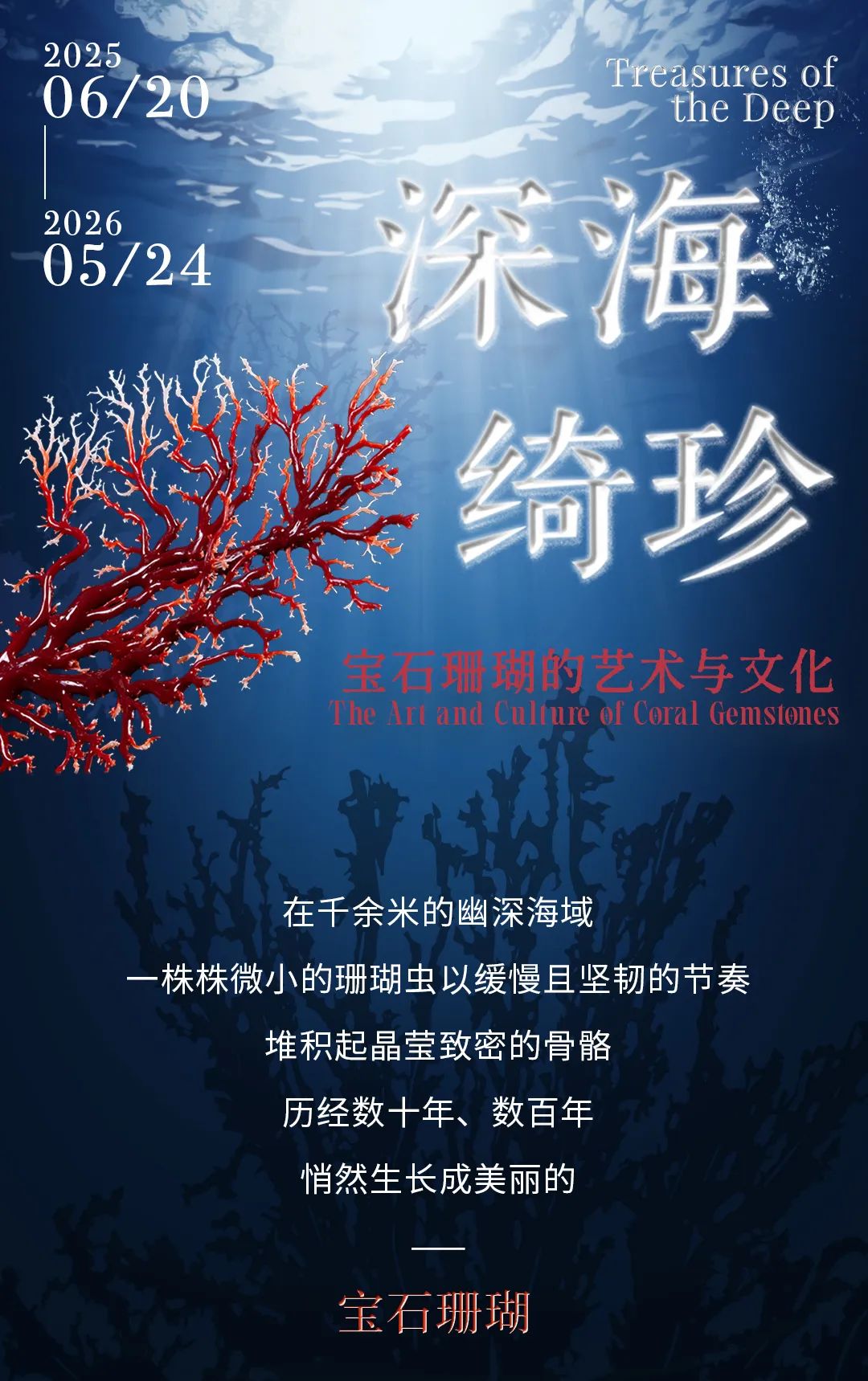 在深海开盲盒是什么体验？南博新展让你拆到“宝石珊瑚”隐藏款