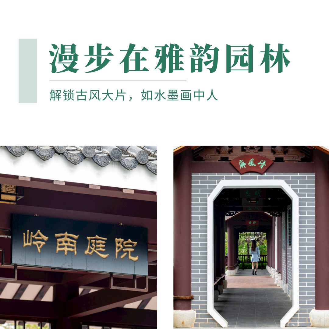 万株月季盛开！人少花美+园林式风格，快来玩"