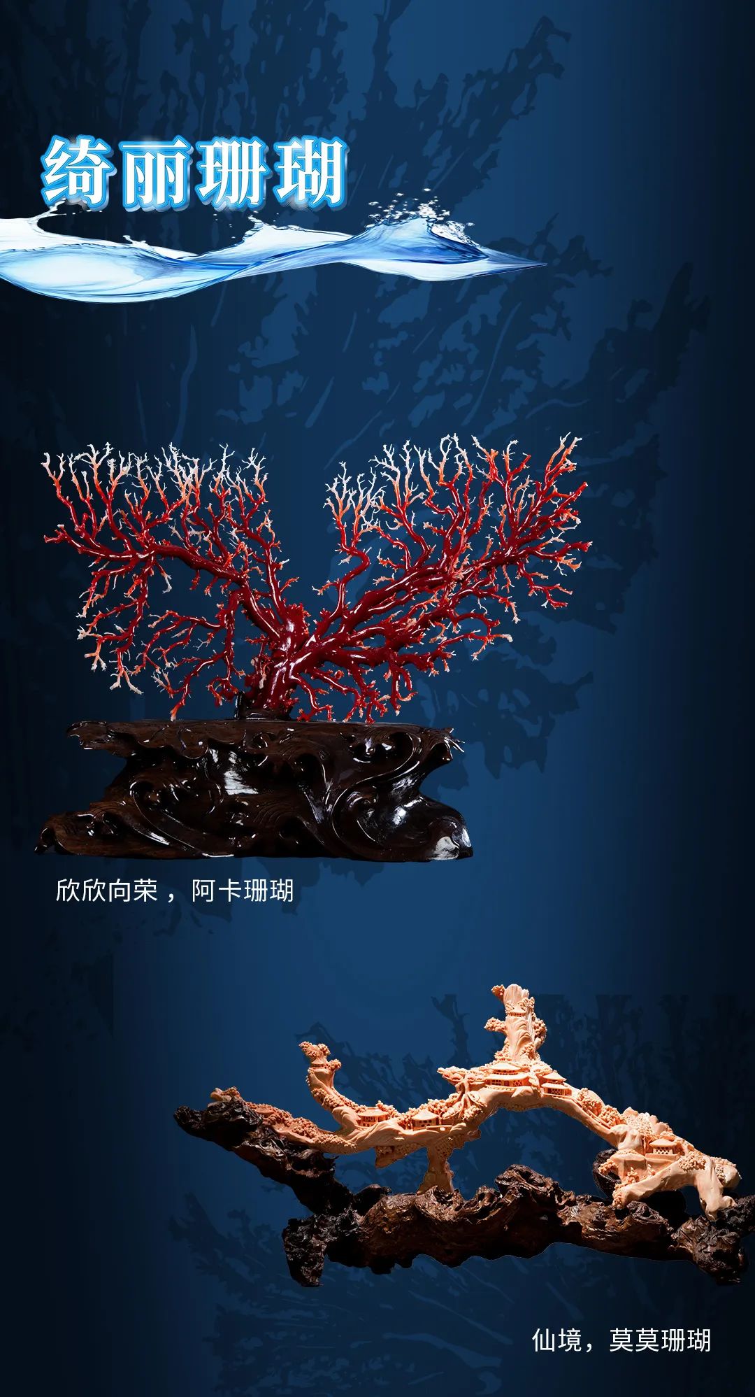 在深海开盲盒是什么体验？南博新展让你拆到“宝石珊瑚”隐藏款