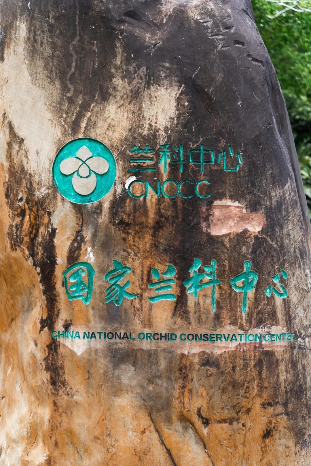 中国最大「兰花秘境」——深圳市兰科植物保护研究中心
