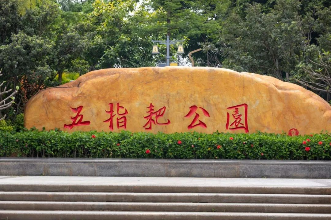 万株月季盛开！人少花美+园林式风格，快来玩"