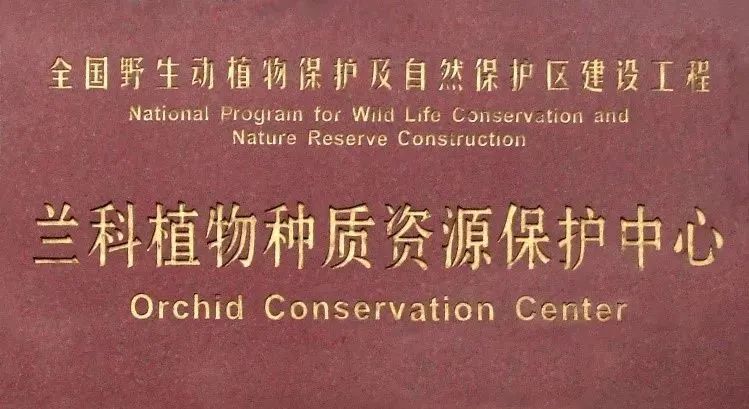 中国最大「兰花秘境」——深圳市兰科植物保护研究中心