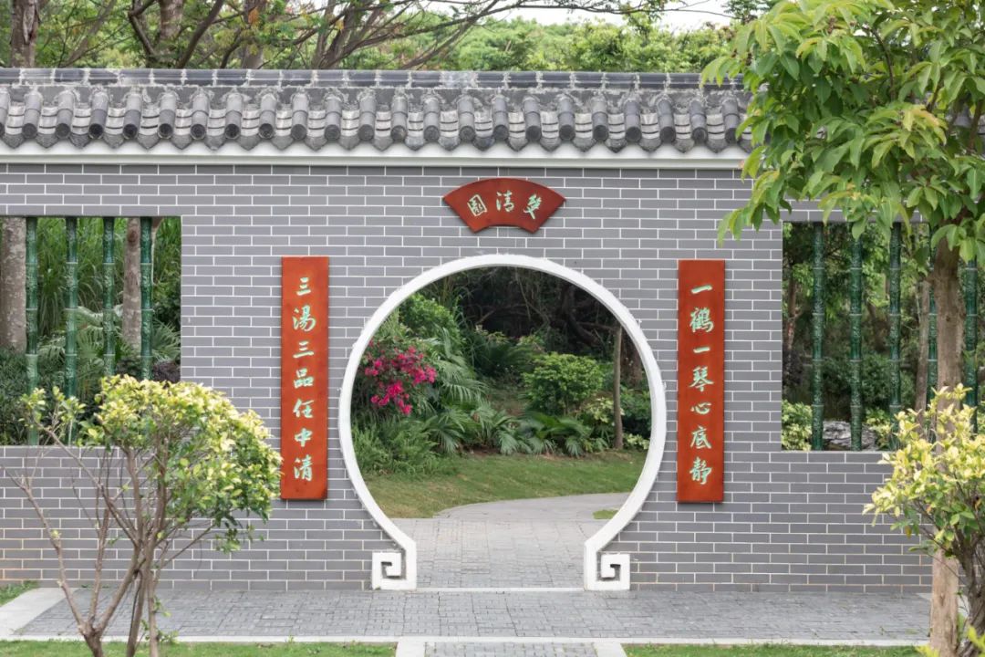 万株月季盛开！人少花美+园林式风格，快来玩"
