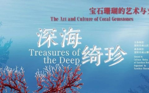 在深海开盲盒是什么体验？南博新展让你拆到“宝石珊瑚”隐藏款
