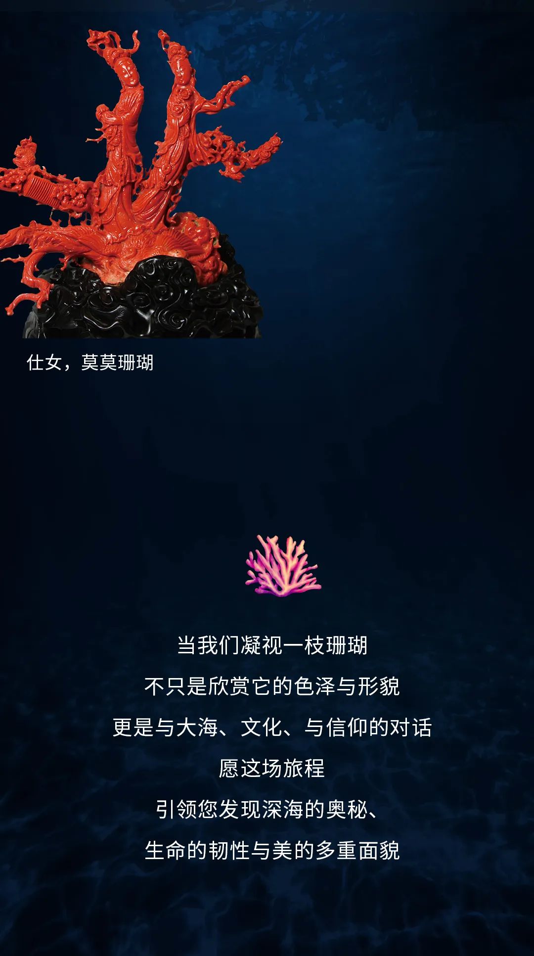 在深海开盲盒是什么体验？南博新展让你拆到“宝石珊瑚”隐藏款