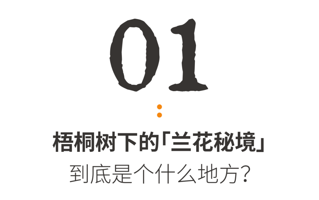 中国最大「兰花秘境」——深圳市兰科植物保护研究中心