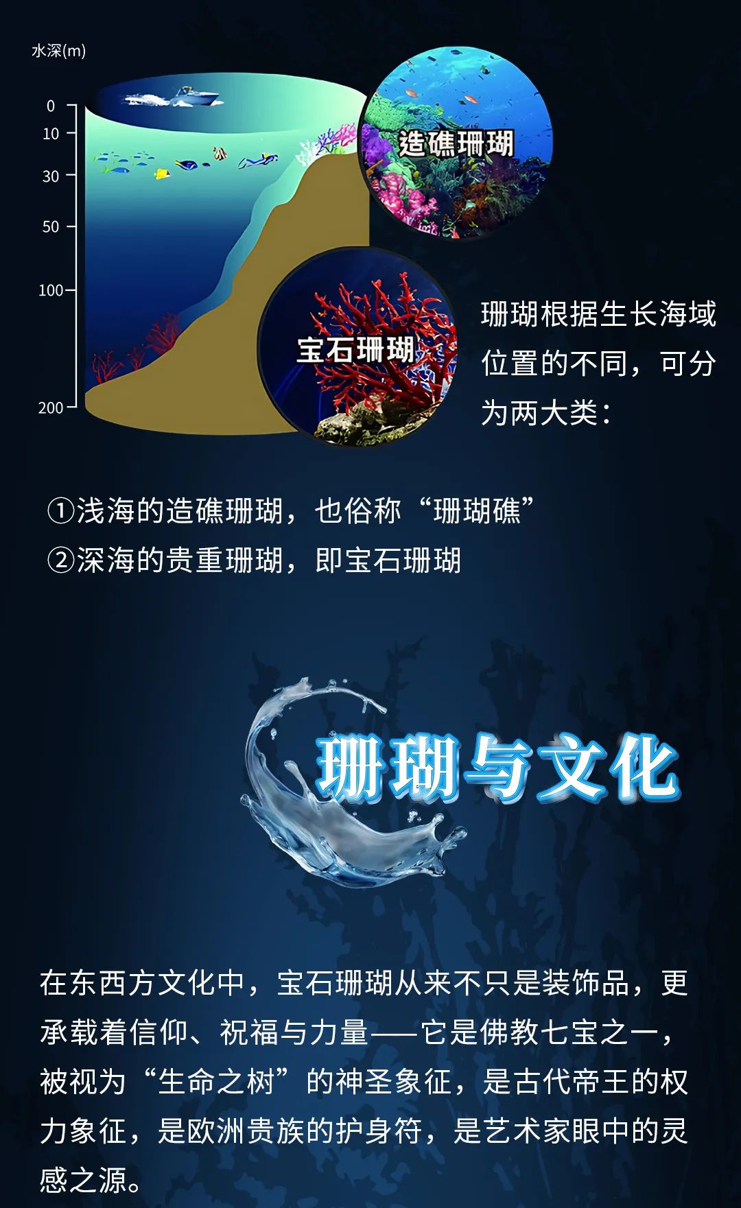 在深海开盲盒是什么体验？南博新展让你拆到“宝石珊瑚”隐藏款