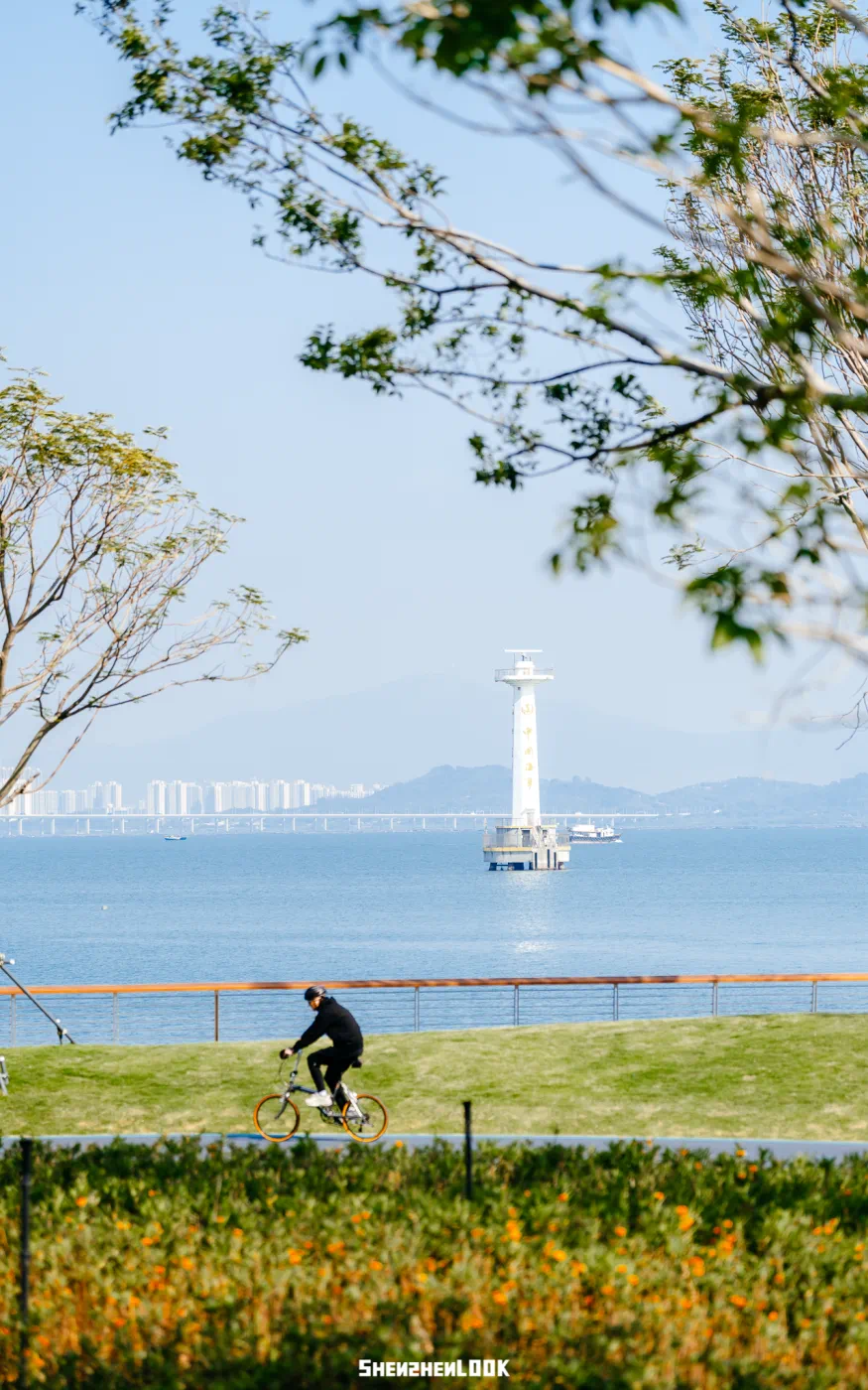 70°环形海景长廊！这个公园内还可以骑行→"