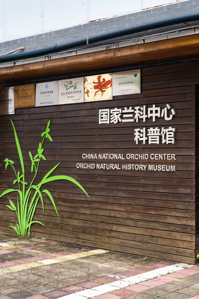 中国最大「兰花秘境」——深圳市兰科植物保护研究中心
