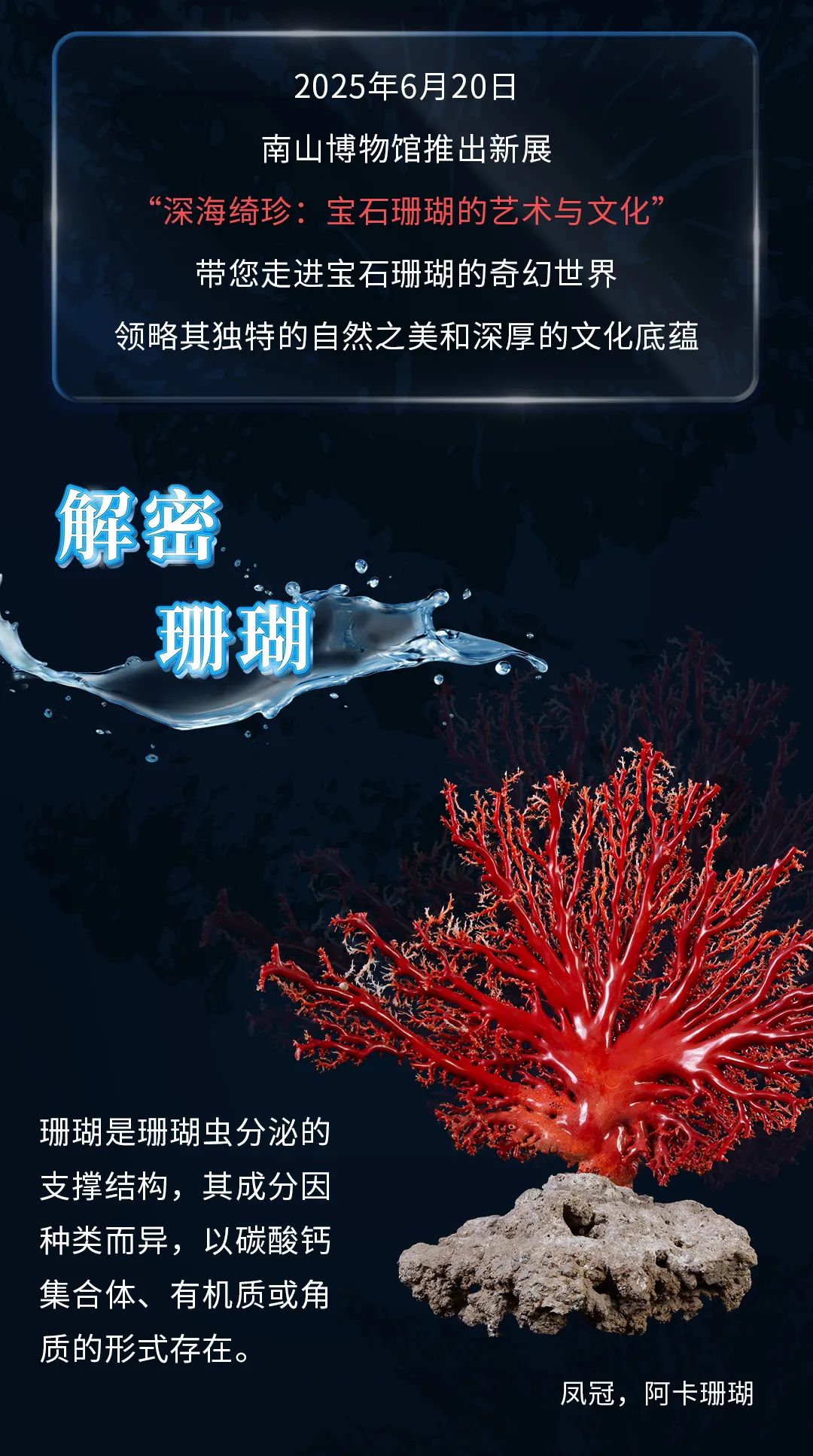 在深海开盲盒是什么体验？南博新展让你拆到“宝石珊瑚”隐藏款