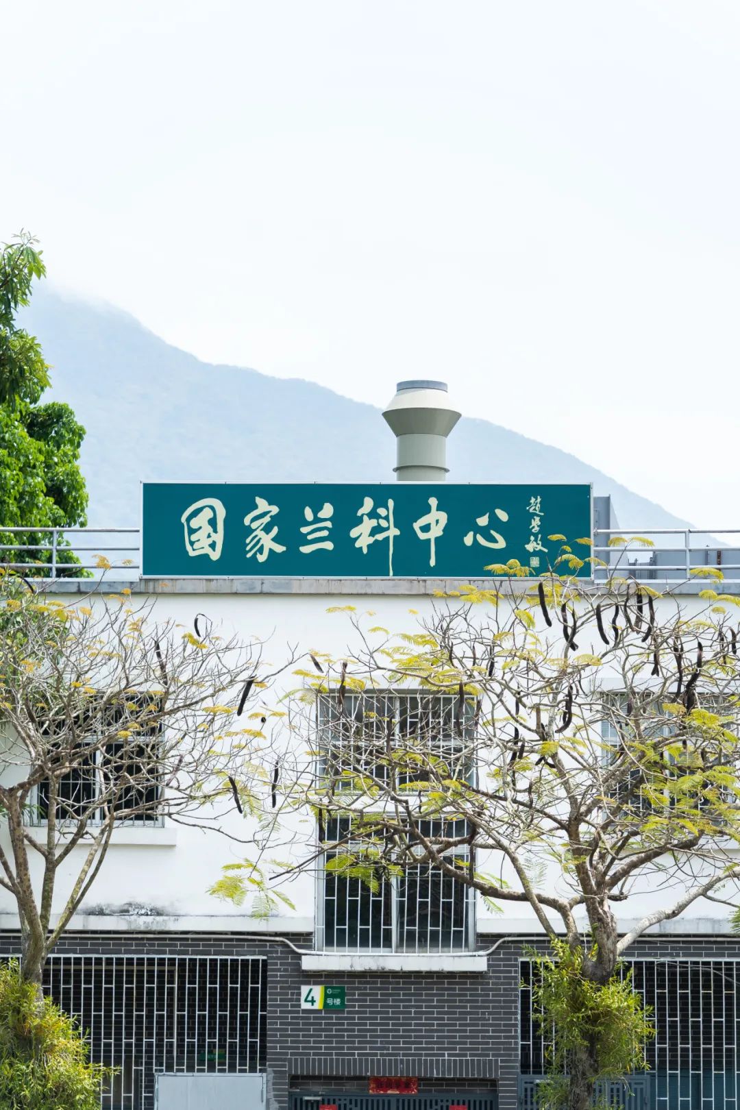 中国最大「兰花秘境」——深圳市兰科植物保护研究中心