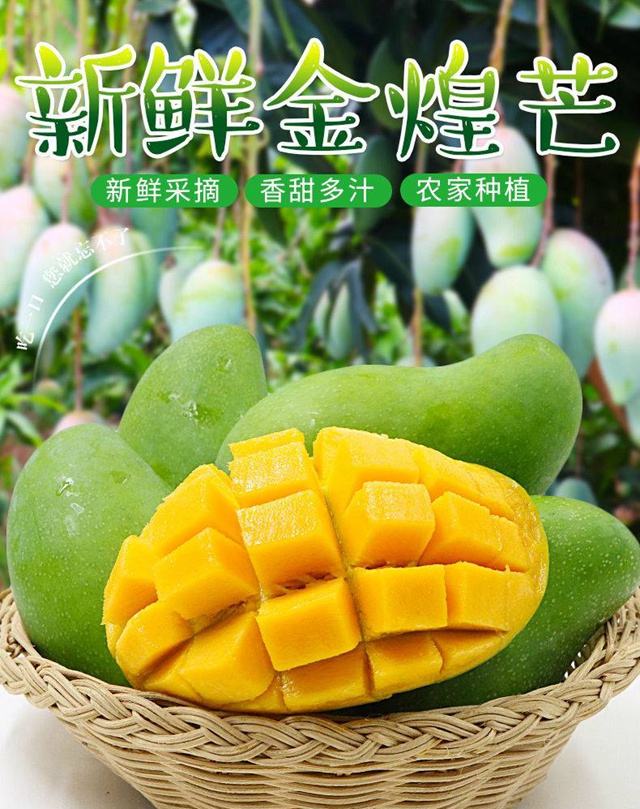 【全国包邮】超好吃的广西百色金煌芒 10斤29.9元