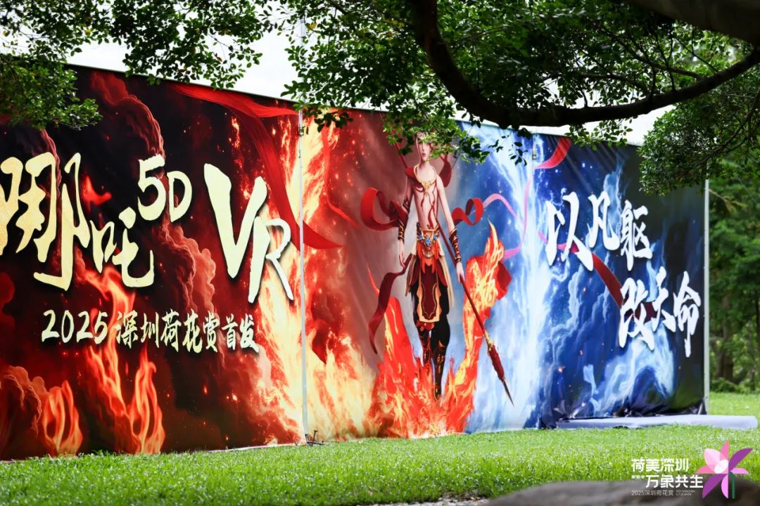 洪湖公园荷花赏延长至7月20日！全新儿童游乐区开放，假期带娃赏荷指南来啦→
