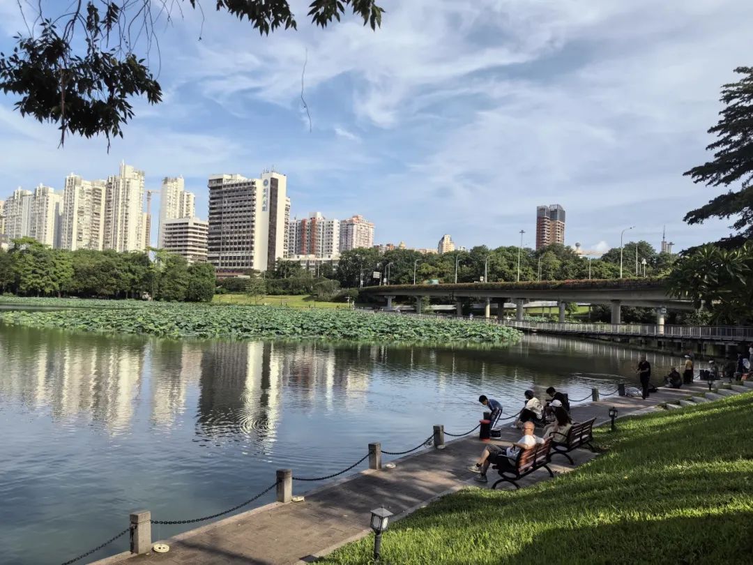 洪湖公园荷花赏延长至7月20日！全新儿童游乐区开放，假期带娃赏荷指南来啦→