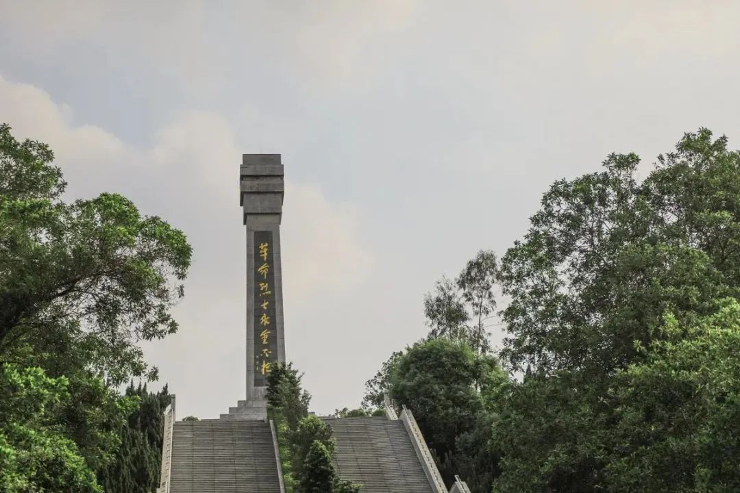 在宝安，这些热血红色打卡点总要去一次！