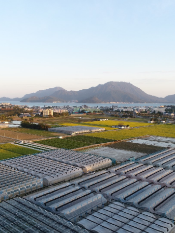 深圳图书馆 “暑期缤纷季” 来袭，开启花样阅读之旅！