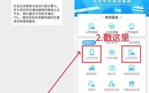 报名摇车牌了~ 2025年第11期粤B指标数额公布