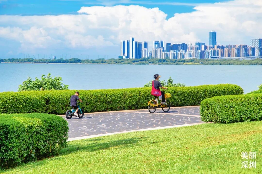 深圳这3条骑行道，一路看海望山超治愈！