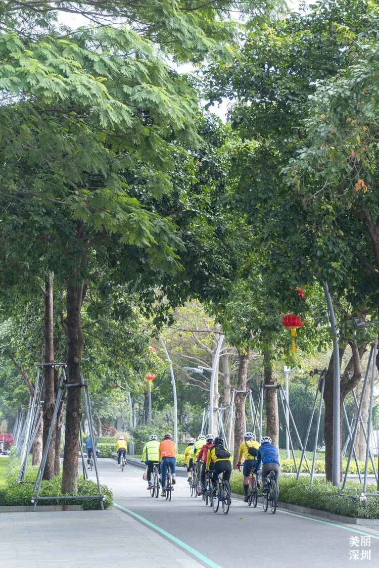 深圳这3条骑行道，一路看海望山超治愈！