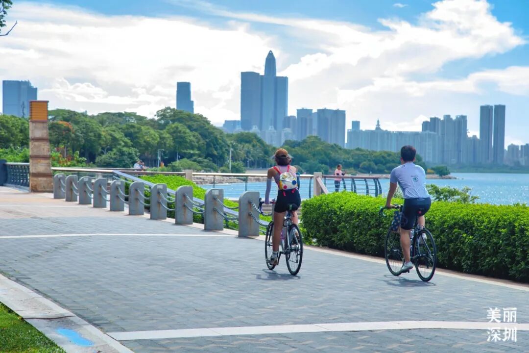 深圳这3条骑行道，一路看海望山超治愈！