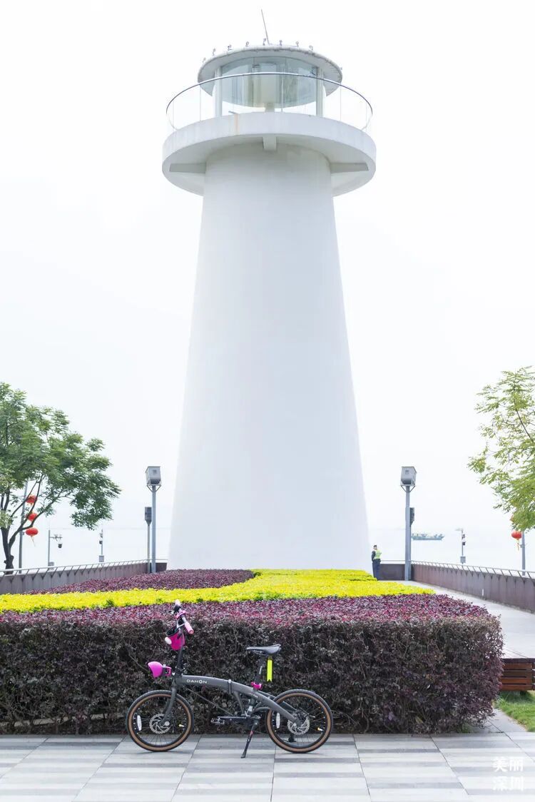深圳这3条骑行道，一路看海望山超治愈！