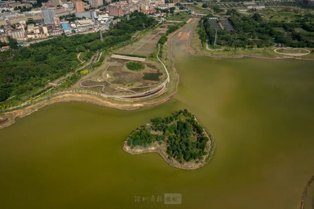 宝安露营地图大公开!10个私藏好地快码住!
