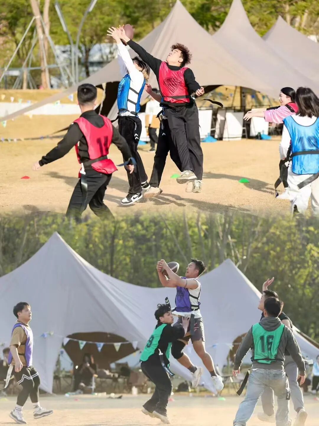 龙华新“骑”点——奔向2026，开抢你的绿道骑行名额！