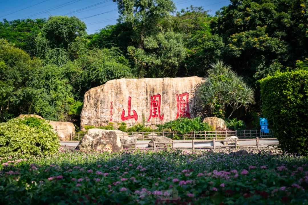 宝安露营地图大公开!10个私藏好地快码住!