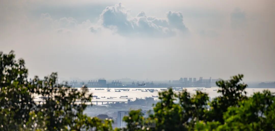 宝安露营地图大公开!10个私藏好地快码住!