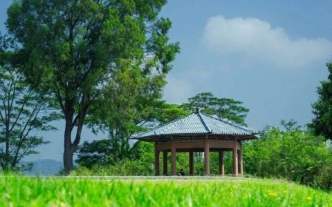 深圳人少景美的宝藏公园清单①，请收好！