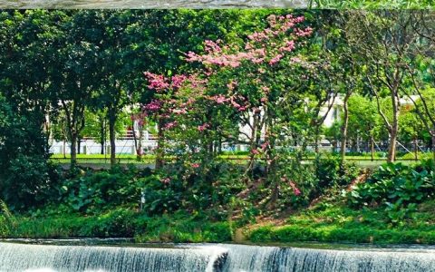 打卡新去处！50%的深圳人还不知道的「龙岗河碧道」