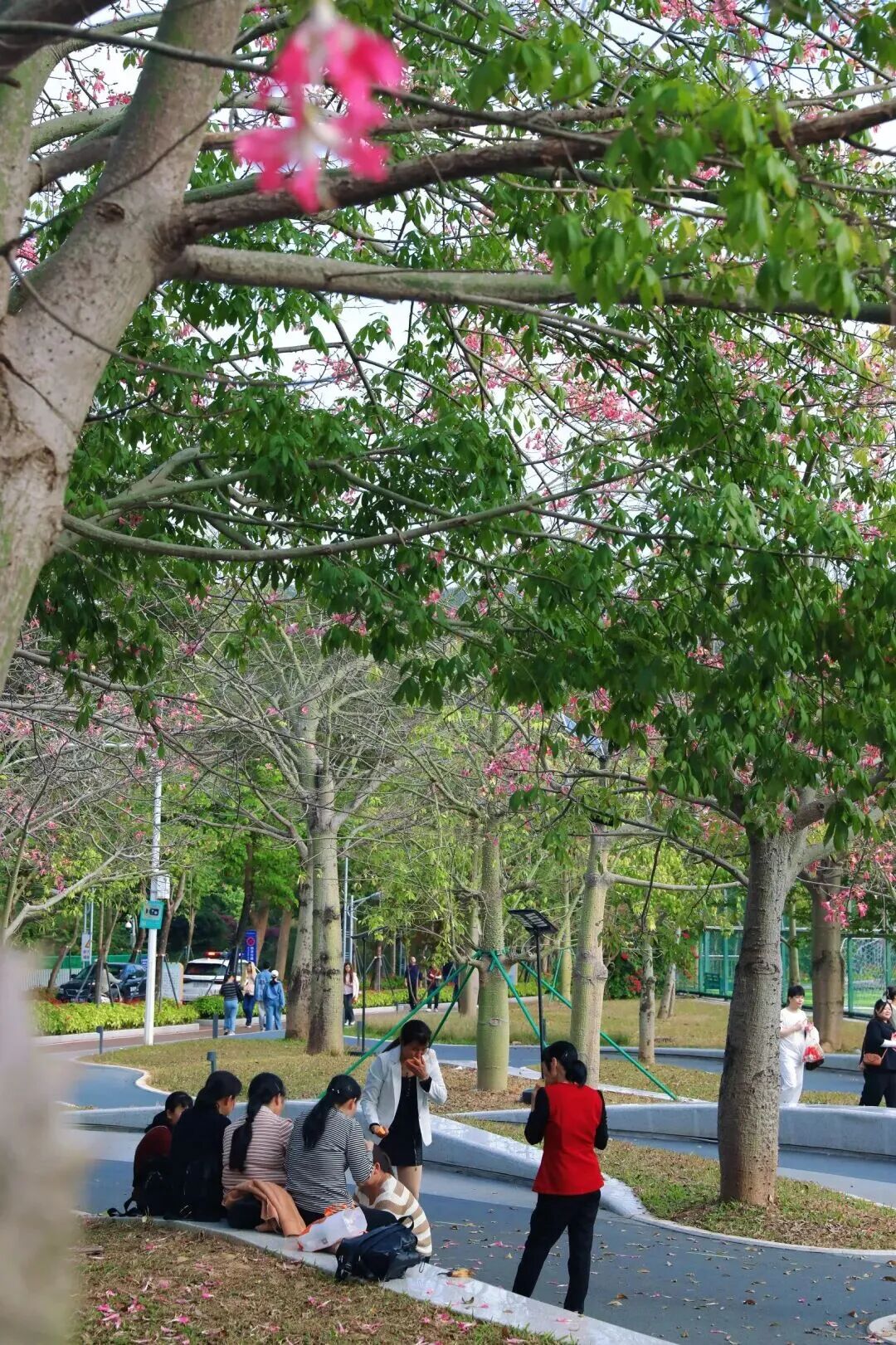 景色超美，串联八大公园！环深圳水库绿道二期开放