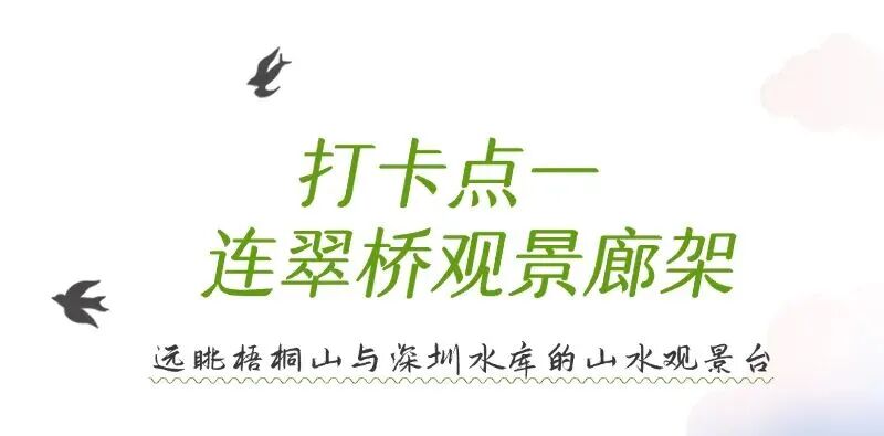 景色超美，串联八大公园！环深圳水库绿道二期开放
