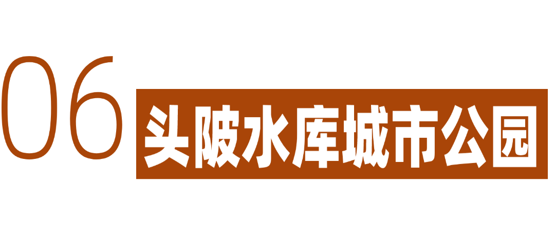 深圳冬日落羽杉地图上线！这7个公园美成油画