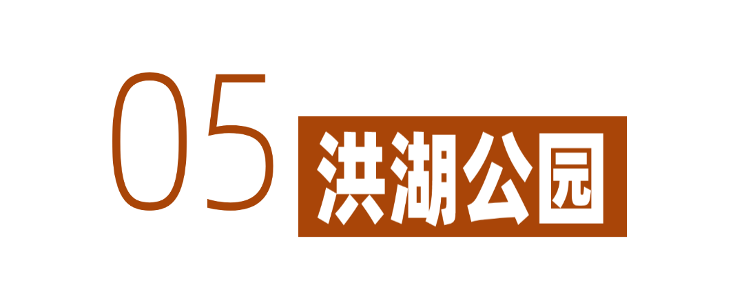 深圳冬日落羽杉地图上线！这7个公园美成油画