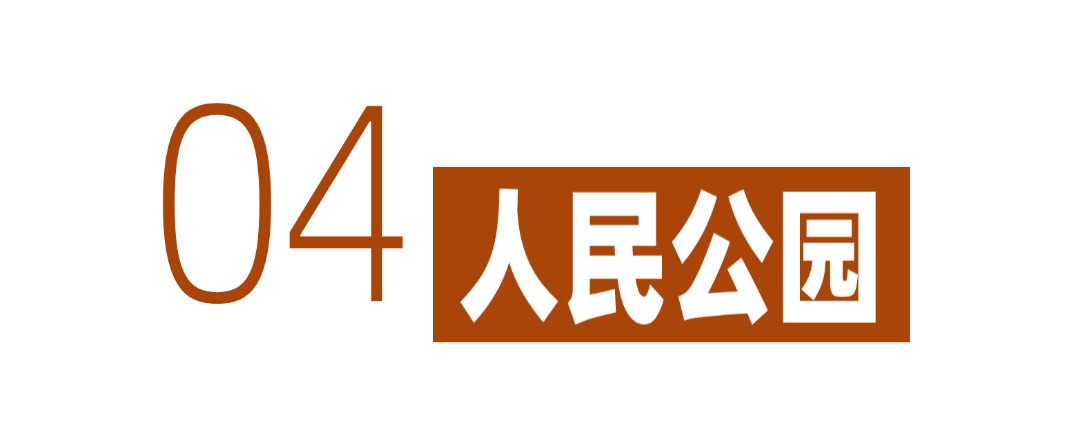 深圳冬日落羽杉地图上线！这7个公园美成油画