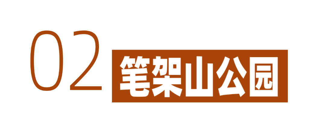 深圳冬日落羽杉地图上线！这7个公园美成油画
