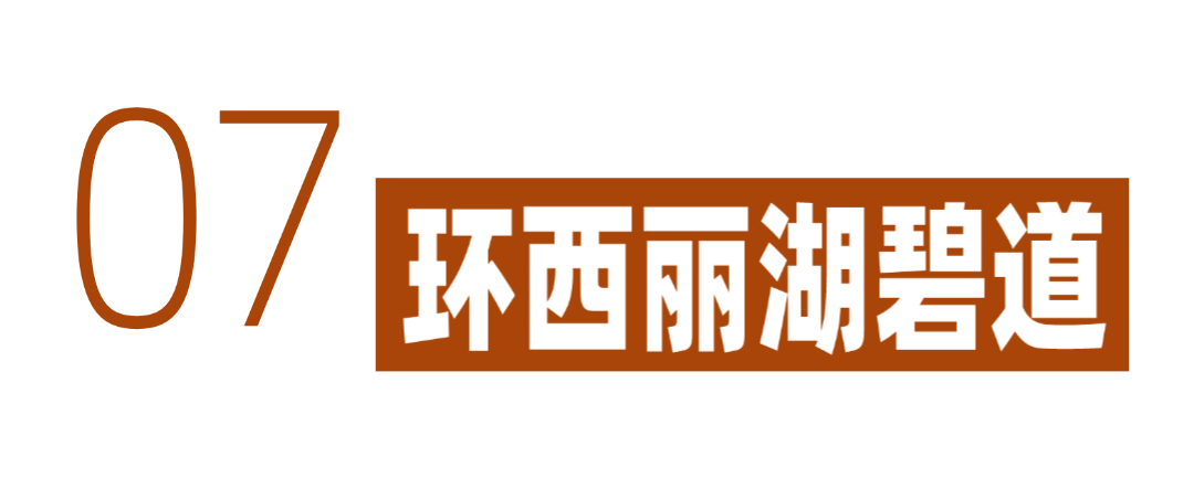 深圳冬日落羽杉地图上线！这7个公园美成油画