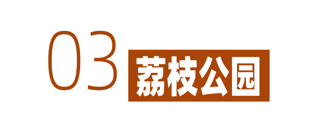 深圳冬日落羽杉地图上线！这7个公园美成油画