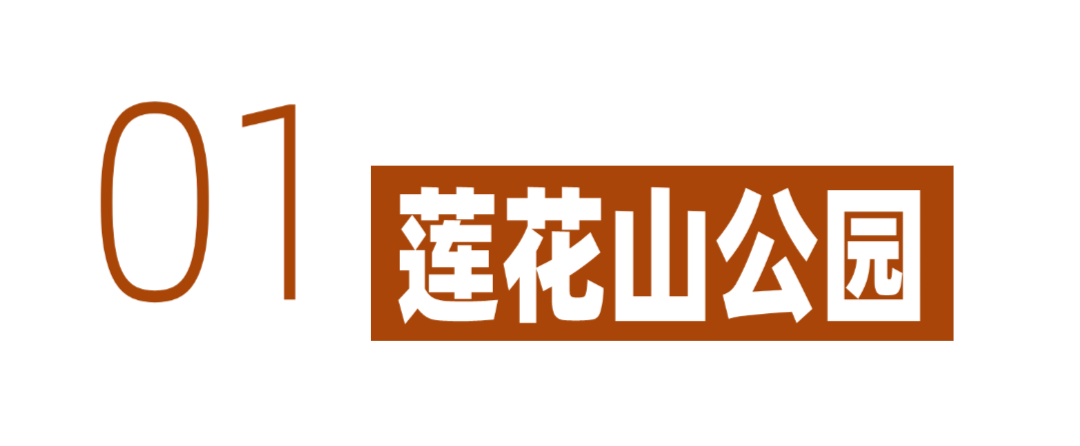 深圳冬日落羽杉地图上线！这7个公园美成油画