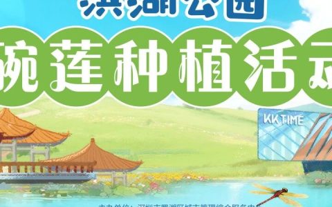 碗莲种植+春日市集，洪湖公园邀您共赴自然之约