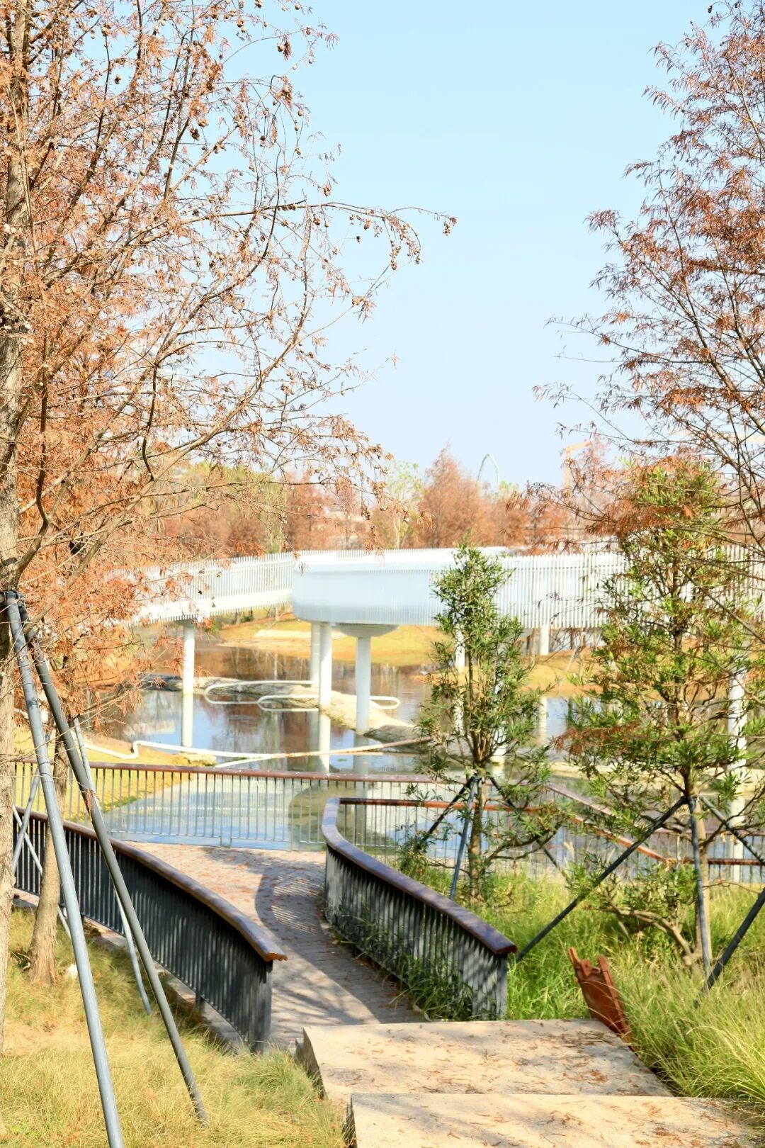 免费开放！龙岗新增一文体公园！攻略来啦→