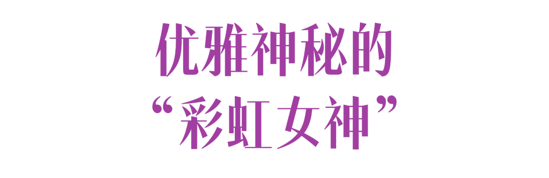 2026粤港澳大湾区花展来啦~~