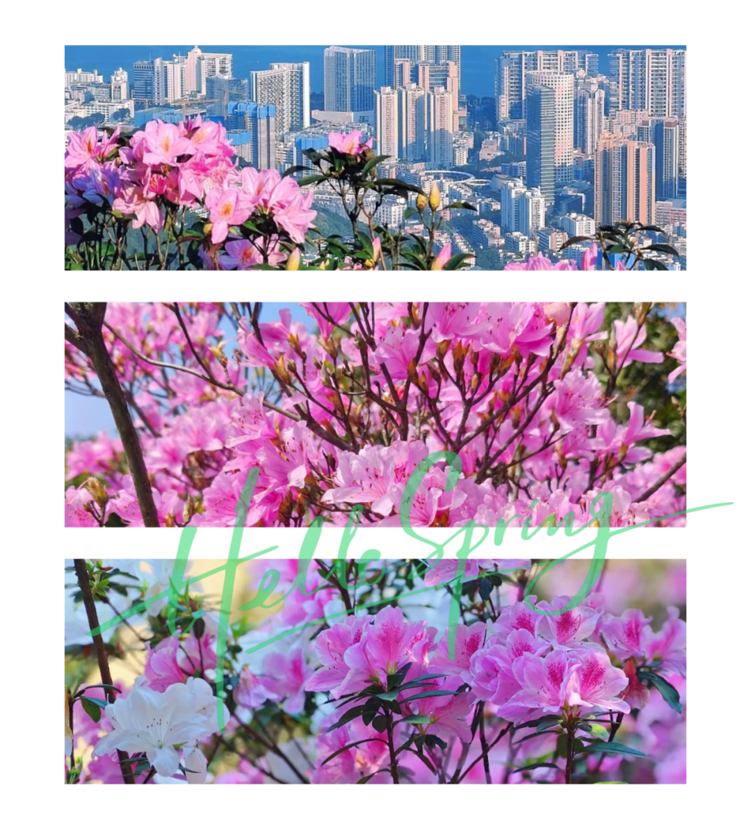 免费抢票！第四届梧桐山音乐节焕新启幕！多重春日惊喜好礼待你解锁→