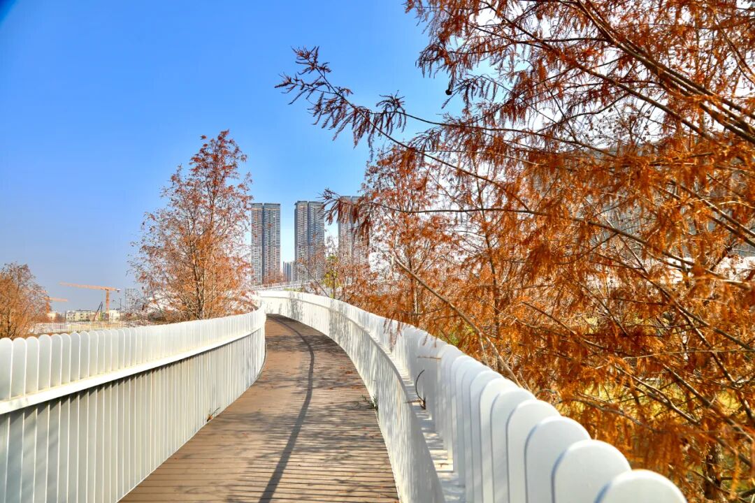 免费开放！龙岗新增一文体公园！攻略来啦→