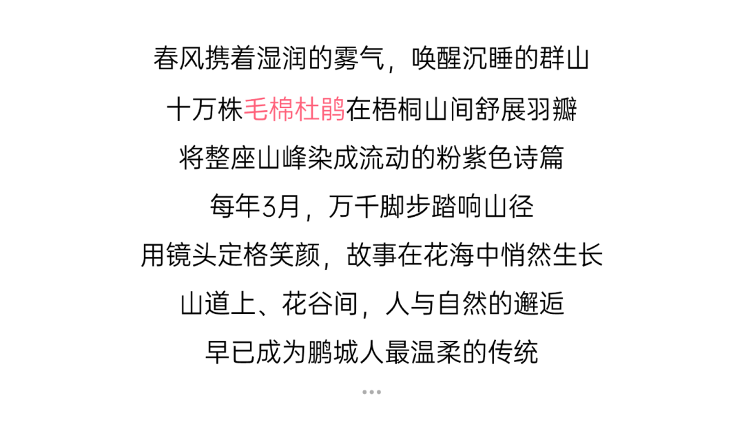 免费抢票！第四届梧桐山音乐节焕新启幕！多重春日惊喜好礼待你解锁→